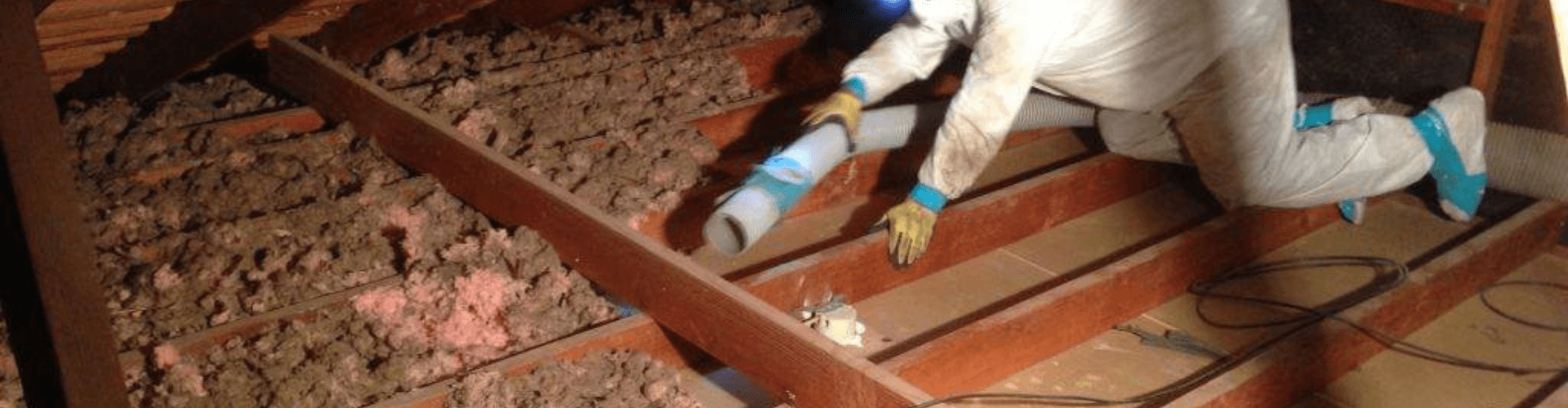 Worker using insulation removal vacuum in attic, extracting loose materials for efficient cleanup.