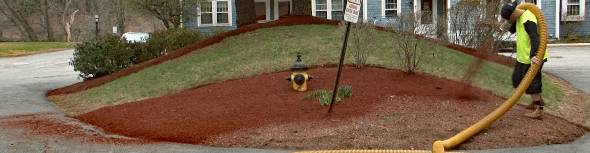 Worker using a hose for bark mulch blowing on a landscaped area with red mulch around a fire hydrant.