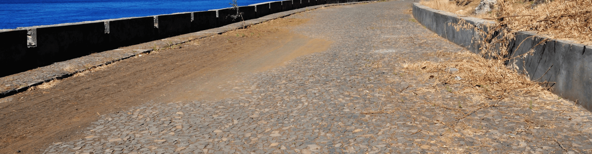 Paved road alongside blue water with dirt and overgrown vegetation in an off-road environment.