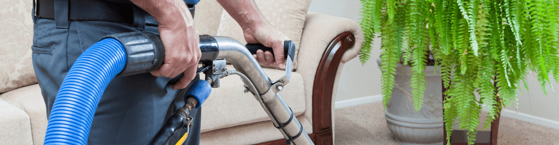 Professional carpet cleaning with hot water extraction in a cozy living room setting.