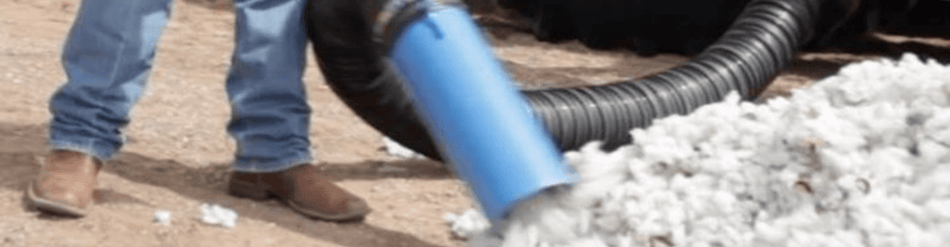A worker uses a blue vacuum hose to pick up cotton during harvesting, showcasing efficient cotton picking equipment.