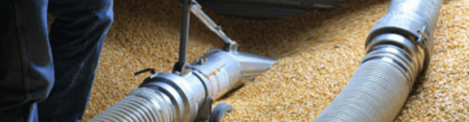 High-volume grain vac in action, efficiently transferring grain with durable suction hoses in agricultural setting.