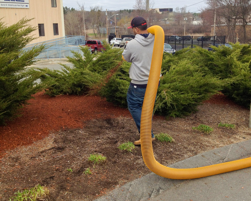Person holding a long yellow hose near a landscaped area with trees and mulch.