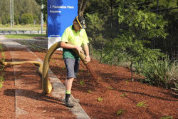 Person in a yellow shirt and helmet walking on a path with blowing mulch into garden.