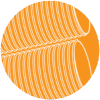 Orange spiral cable on a white background